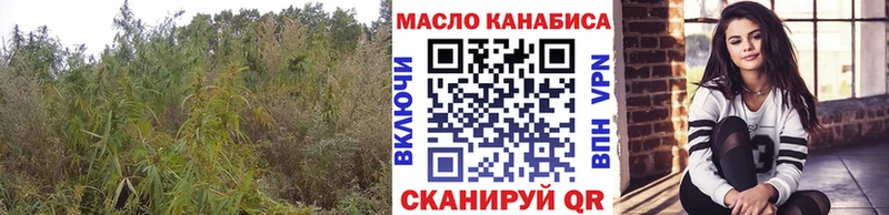 Дистиллят ТГК THC oil  продажа наркотиков  mega онион  Цимлянск 