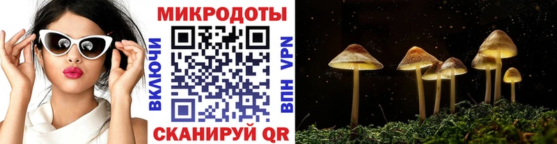 Галлюциногенные грибы мицелий  Цимлянск 