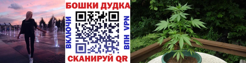 Каннабис планчик Цимлянск